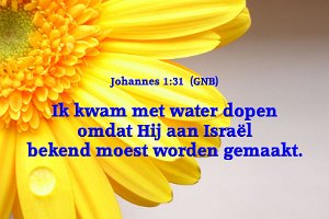 John0131-GNB